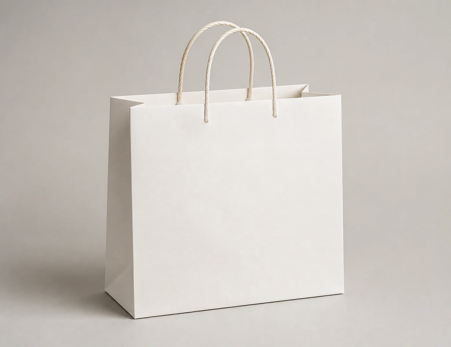 Complete structured paper carrier bag with twisted paper handles, side gussets and a defined base